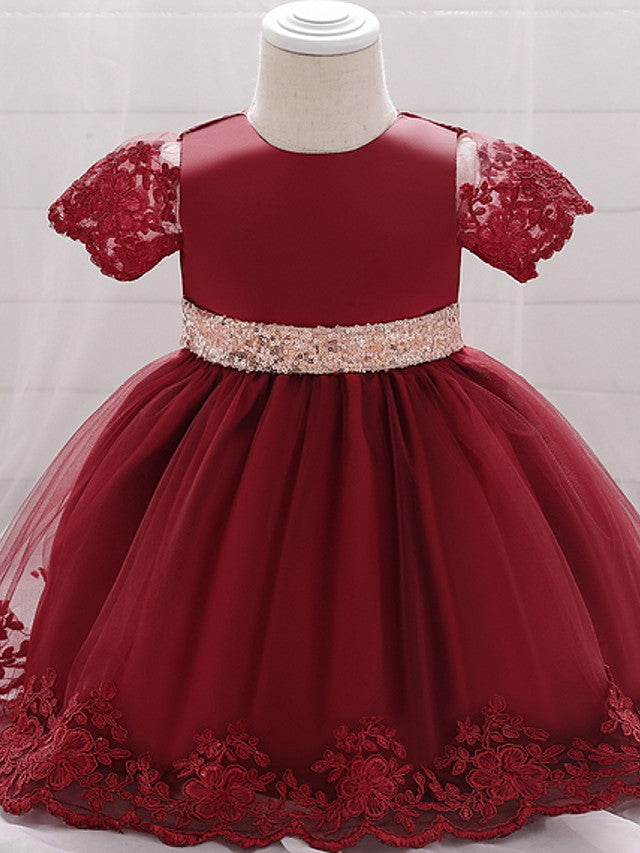 Sleeveless Jewel Neck Lace Ball Gown for Weddings and Parties