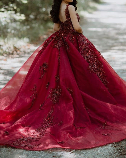 Ball Gown Organza Dresses Lace Embroidery Beaded V Neck