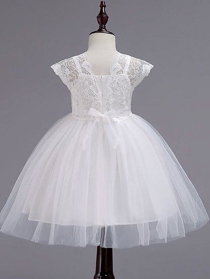 Cap Sleeve Square Neck Flower Girl Dress with Lace Tulle Cotton and Lace Belt